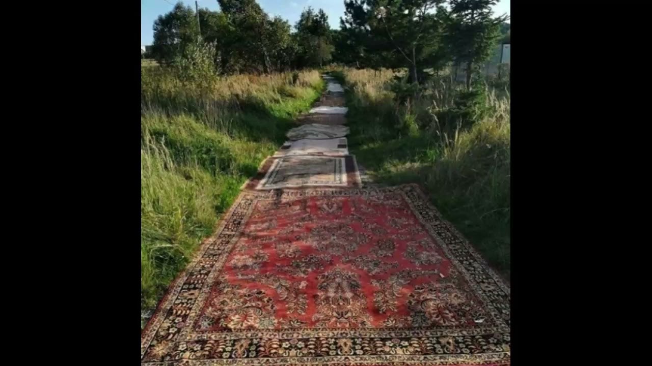 realyungphil + boofpaxkmooky + evilgiane surf gang type beat (prod. whod)