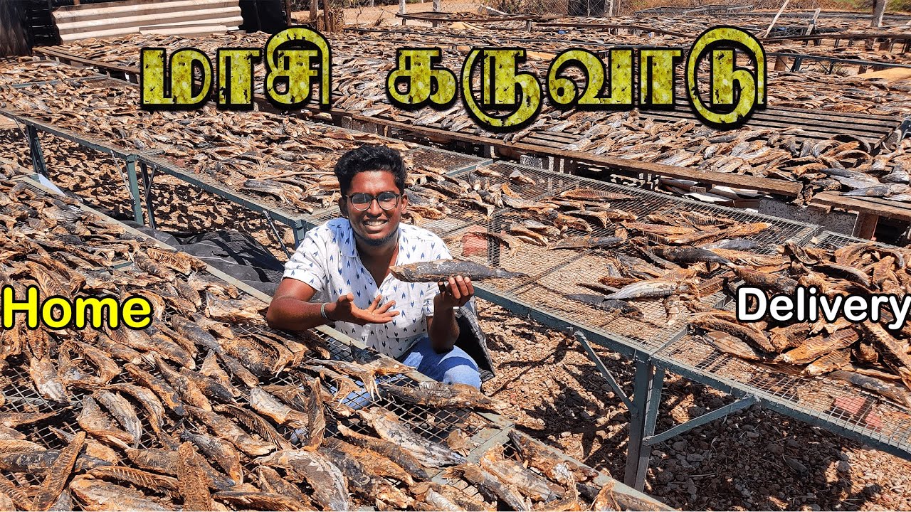 வெளிநாடுகளுக்கு ஏற்றுமதி ஆகும் தரமான‌ மாசி கருவாடு|Dry fish process|wholesale&retail|Xploring