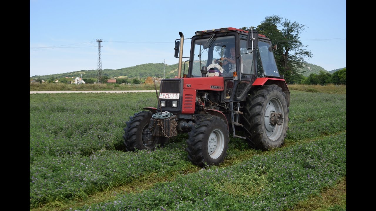 MTZ 820 TURBO Lucerna Kaszálás | MOWNIG LUCERNE | HD 60p |