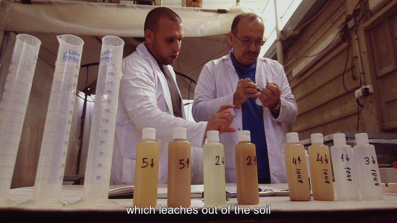 Understanding Polysulphate: rainfall and nutrient release