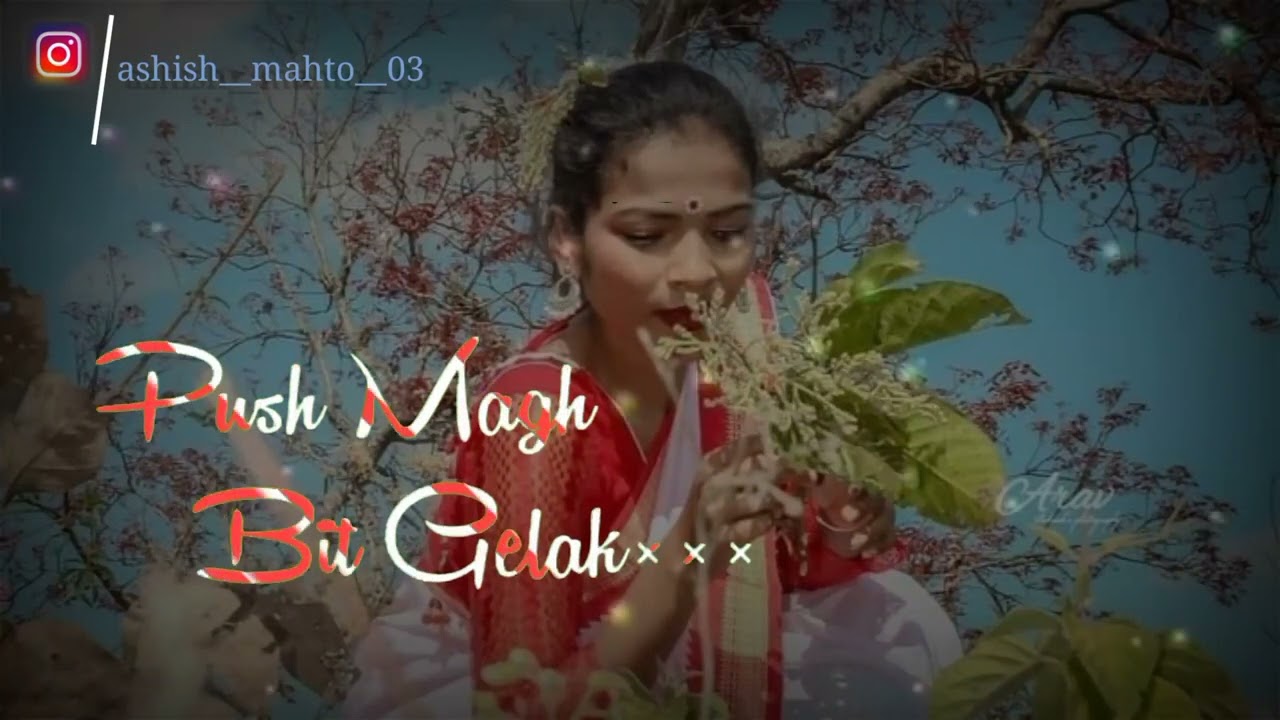 sarhul status Video nagpuri song status Whatsapp instagram status video