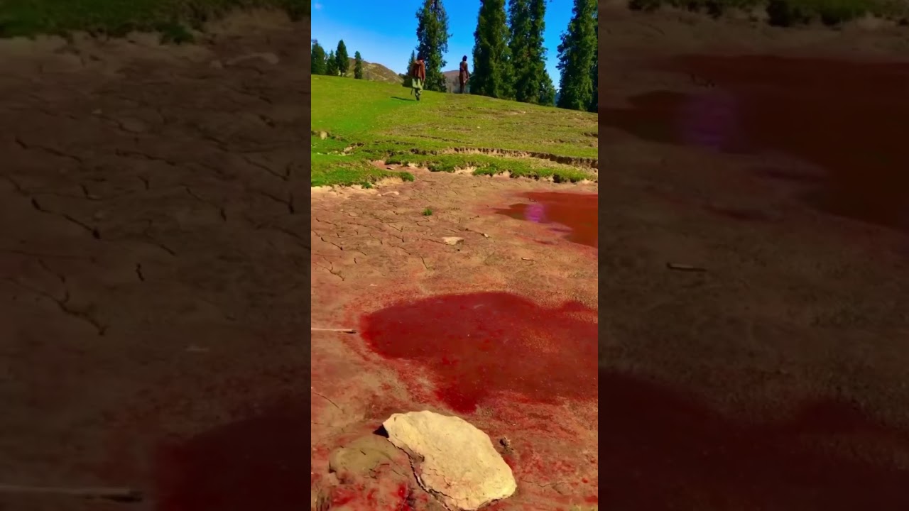 Bahadar Sar Beautiful view in Shangla | Natural Explorer 3.0