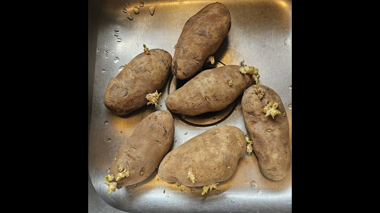 Potatoes Going Bad? Save Them Before It's Too Late!!