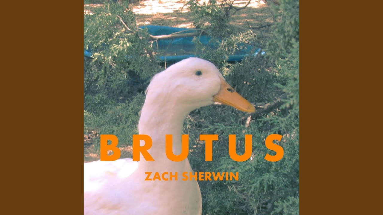 Duck III (Delivered)