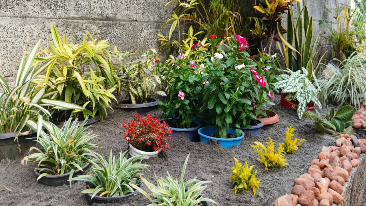 small garden ideas/small landscaping ideas/small garden Malayalam
