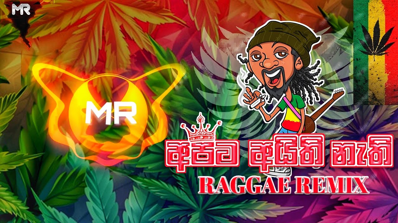 Apata Aithi Nathi | අපට අයිති නැති ( Malshan Remix )