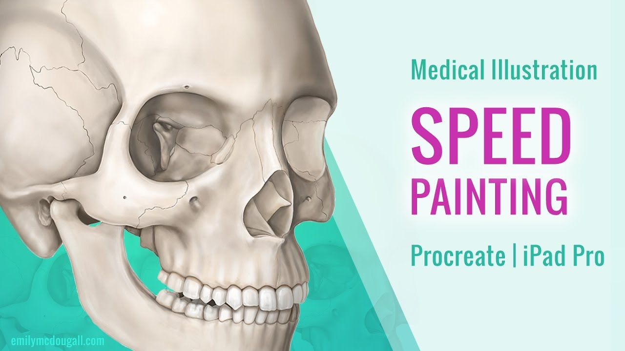 Medical Illustration: Speed Painting on iPad Pro using Procreate | Timelapse