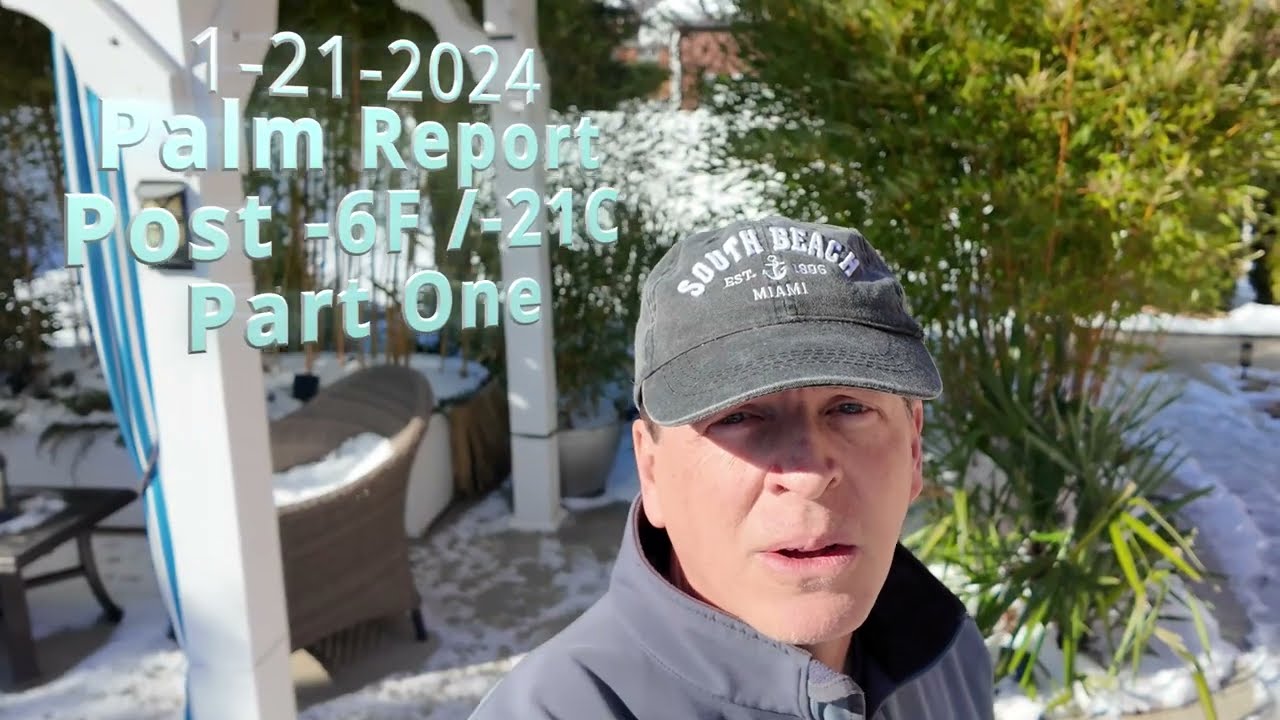 Post Arctic -6F/-21C Palm Report (Part One)