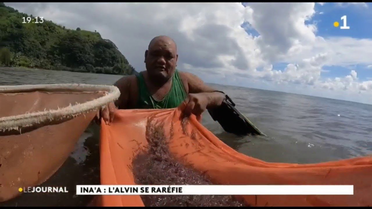 La pêche aux « Ina'a », de plus en plus difficile
