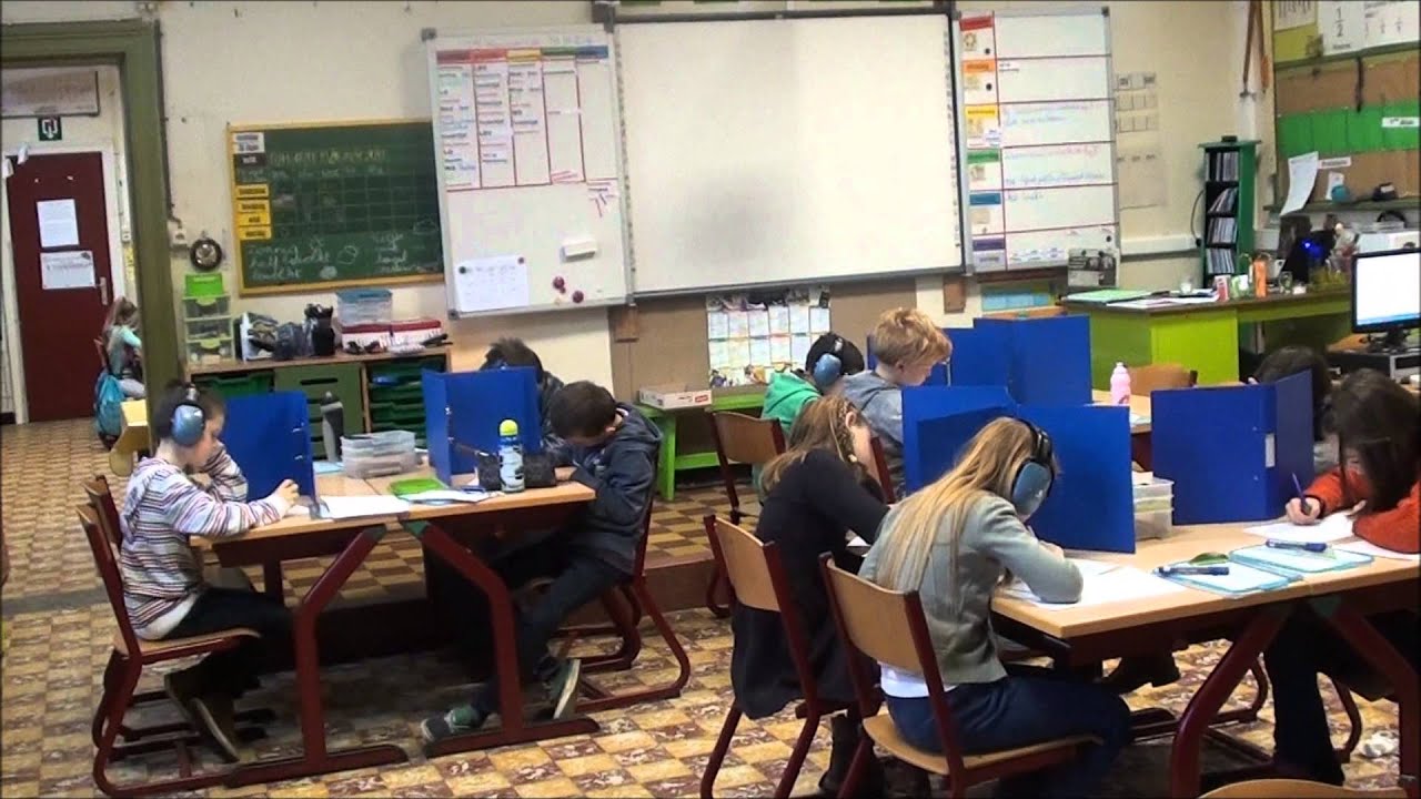Welkom op basisschool de Kleurenboom!