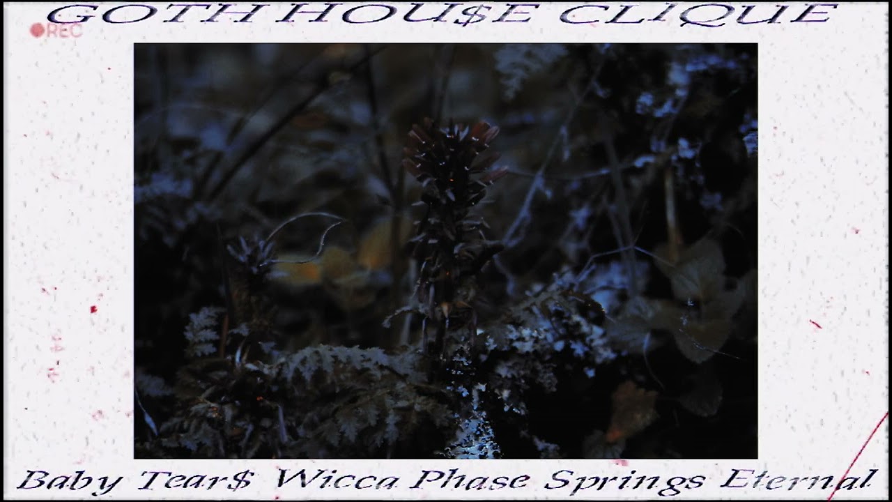 Baby Tear$ And Wicca Pha$e $prings Eternal | 