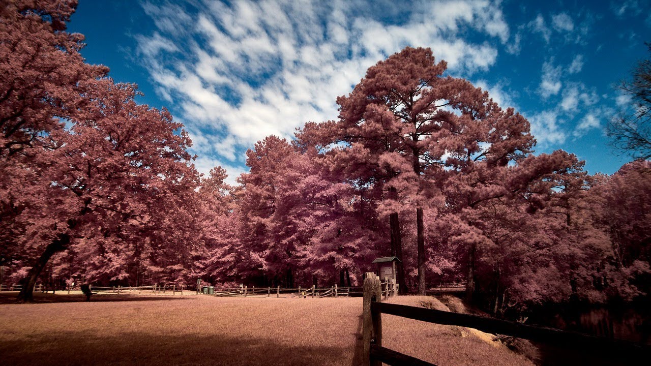 Playing with Full Spectrum Photography