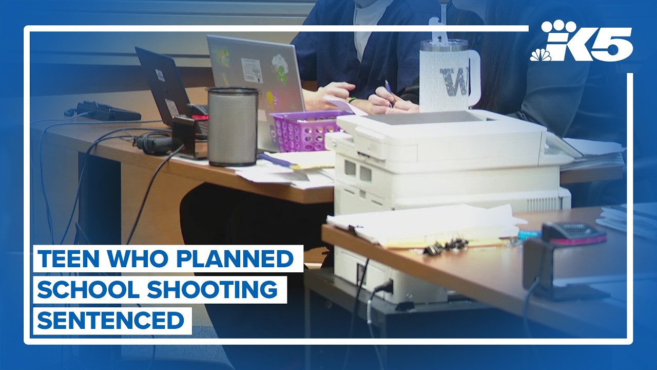 Teen sentenced after school shooting threat