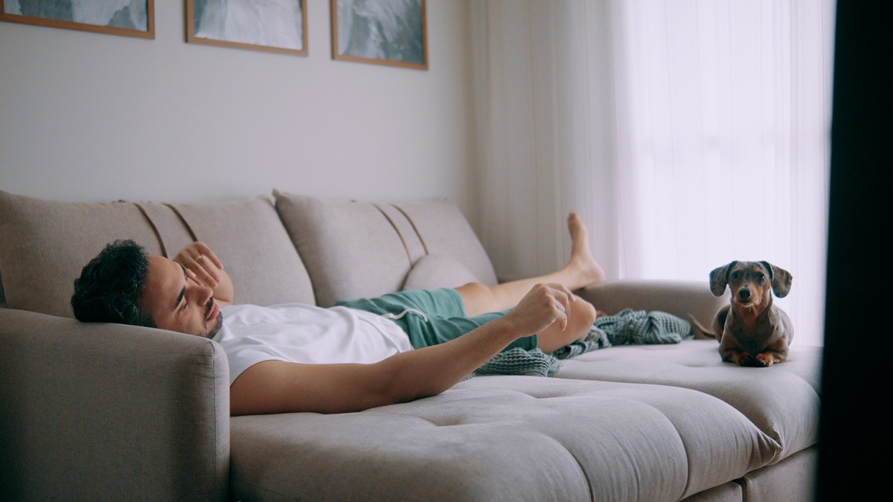 Esta é a Holly! | VLOG ?