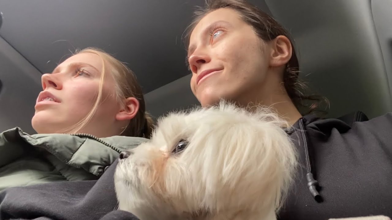 Рандомные дни из жизни // random days  vlog