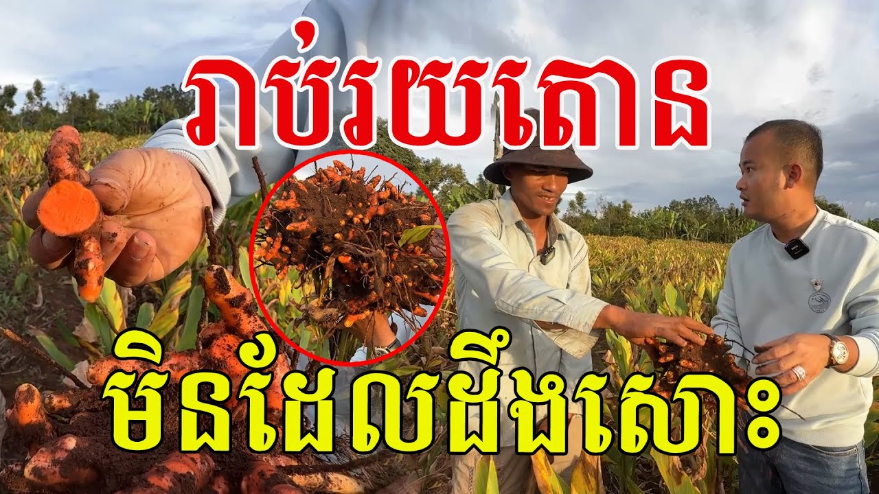រាប់រយតោន​ មិនដែលដឹងសោះ​ សរសេីរកសិករយេីងពូកែមែន