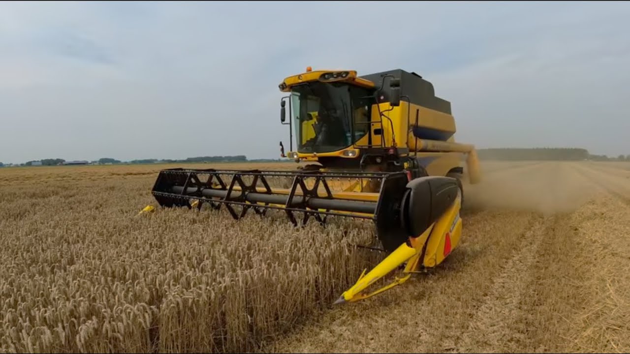 Graanoogst  / Wheat harvest Nederland ./Op de fiets door Noord Brabant
