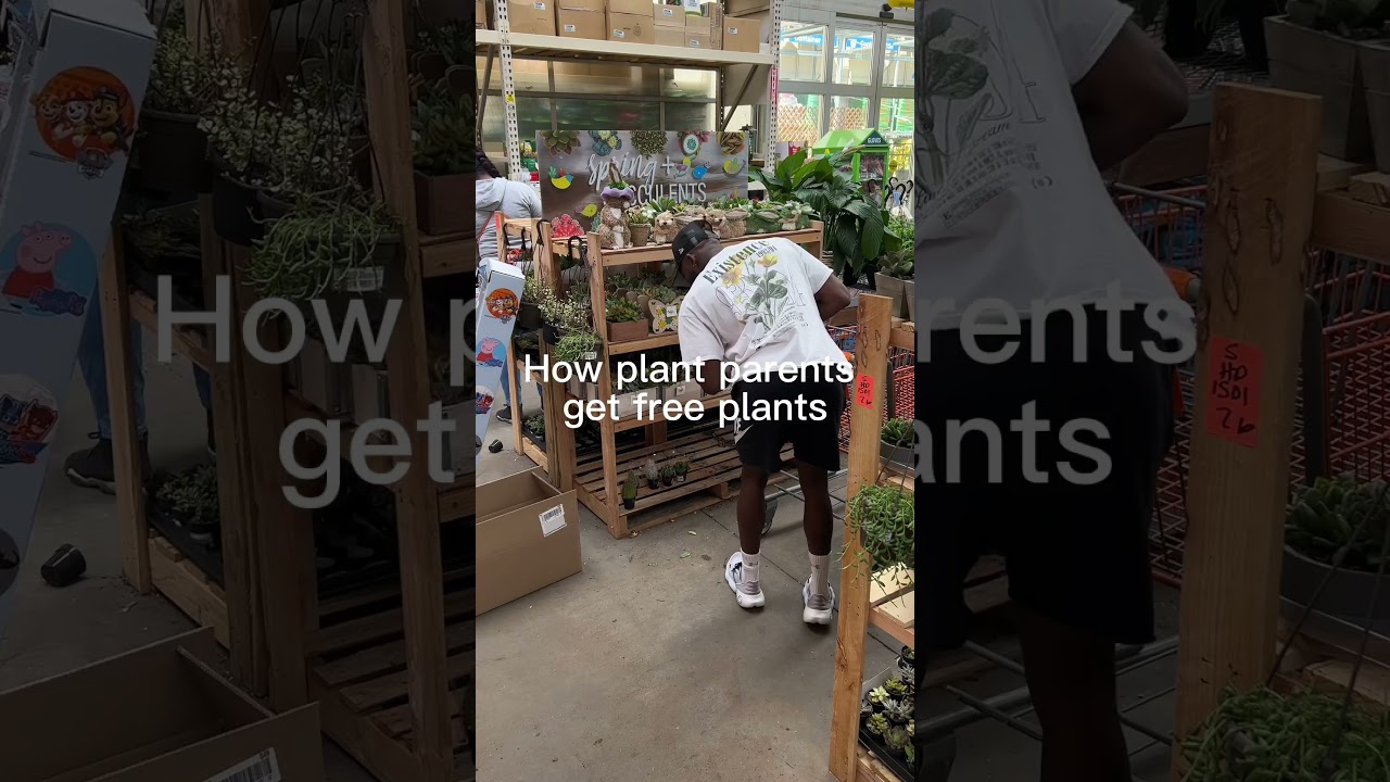 How plant plant parents get free plants. #houseplants #plants