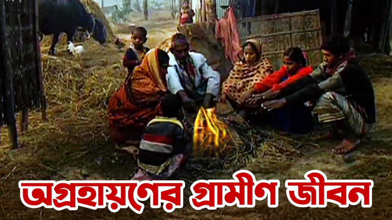 অগ্রহায়ণের গ্রামীণ জীবন