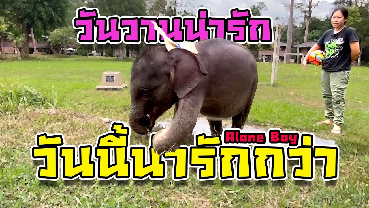 น้องตุลา : วันนี้ฝนตกหนูเหงา คิดถึงวันวานที่หนูเดินเข้ามาโชคดีจังที่หนูเดินเข้ามาในวันนั้น  9 ตุลา