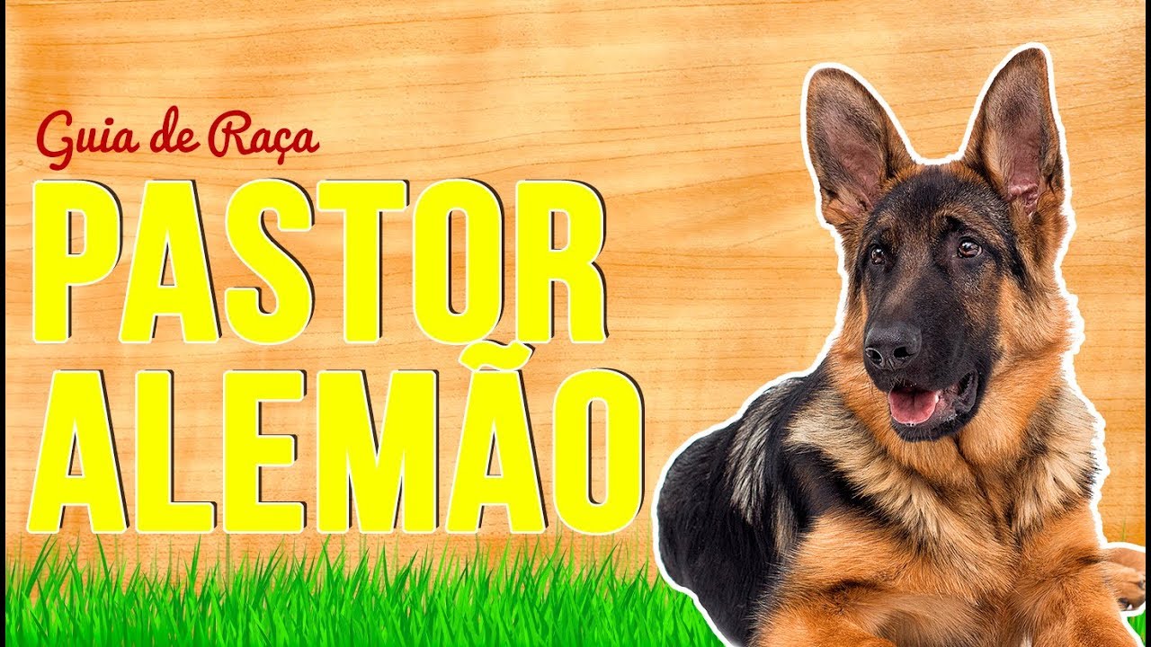 GUIA DE RAÇA PASTOR ALEMÃO | RICHARD RASMUSSEN