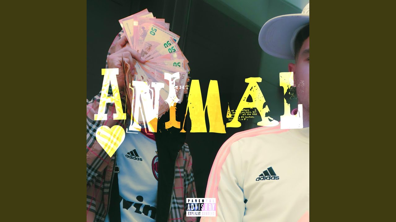 Animal