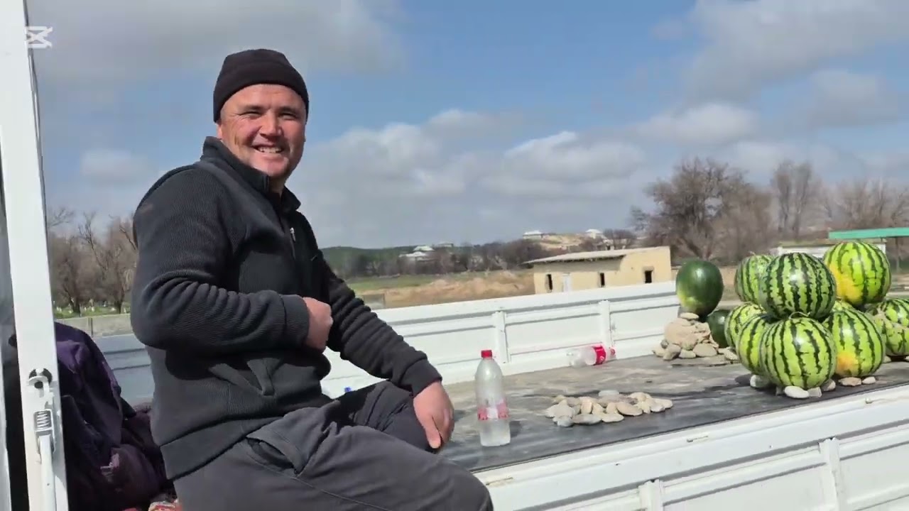 Қашқадарё вилояти Кўкдала туманидаги тарвуз 🍉ларни кўрингизлар.. 