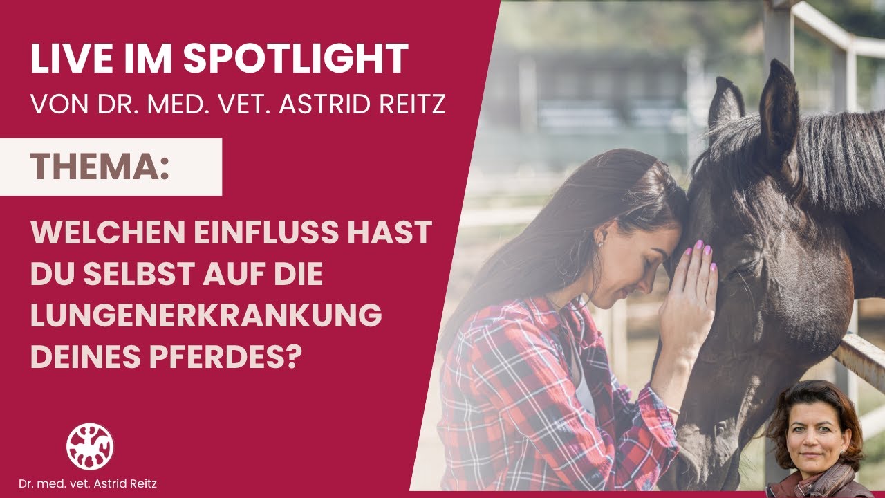 Welchen Einfluss hast DU SELBST auf die Lungenerkrankung deines Pferdes? (12.10.2025)