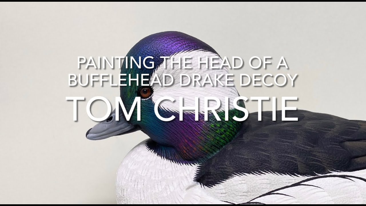 Painting The Head of a Bufflehead Drake Decoy