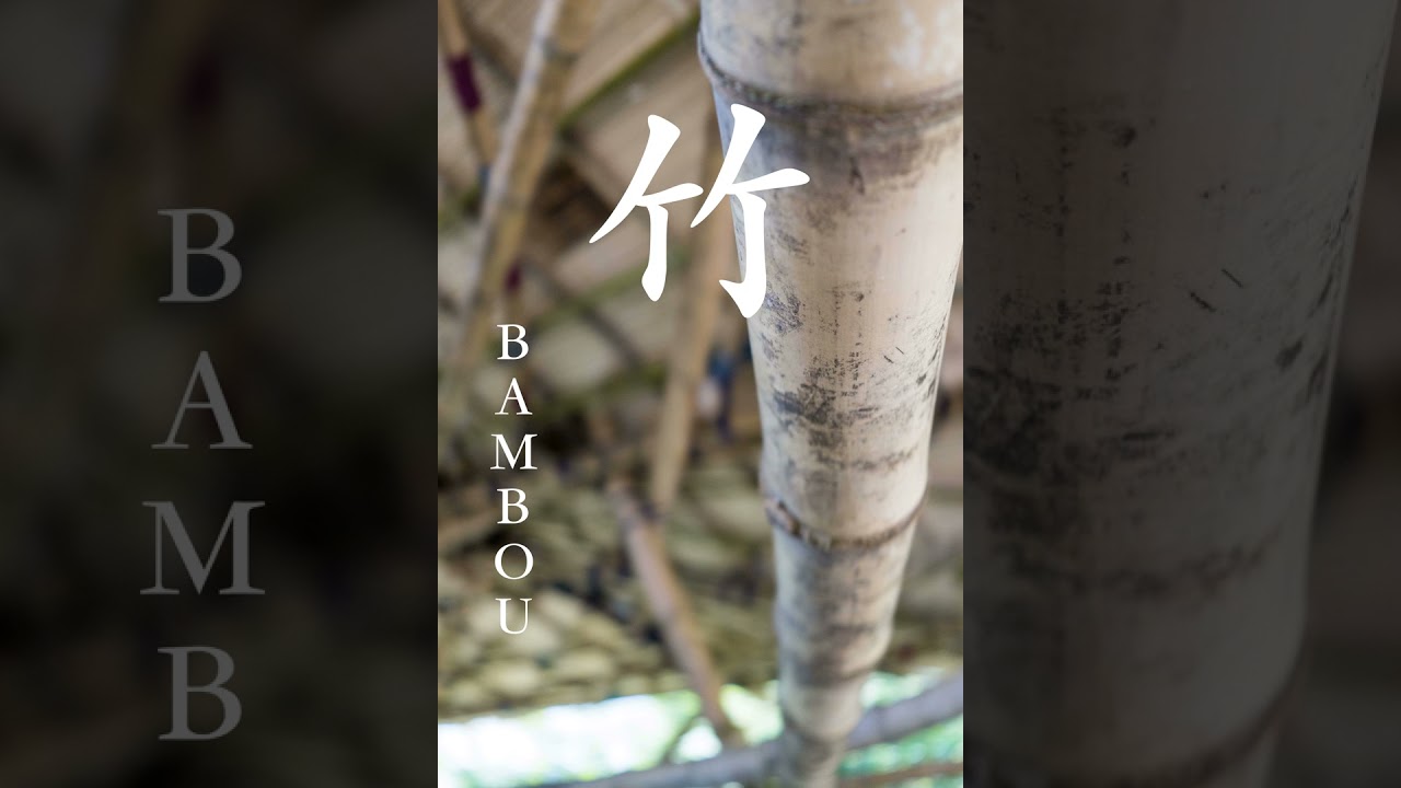 Tabous du nouvel an, bambous et ARCO