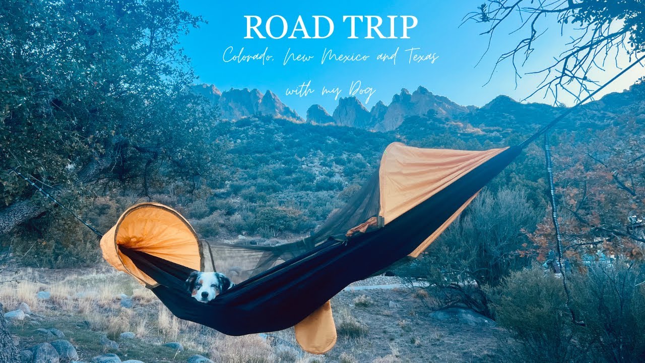 2,000 Miles Camping in My Jeep With My Dog