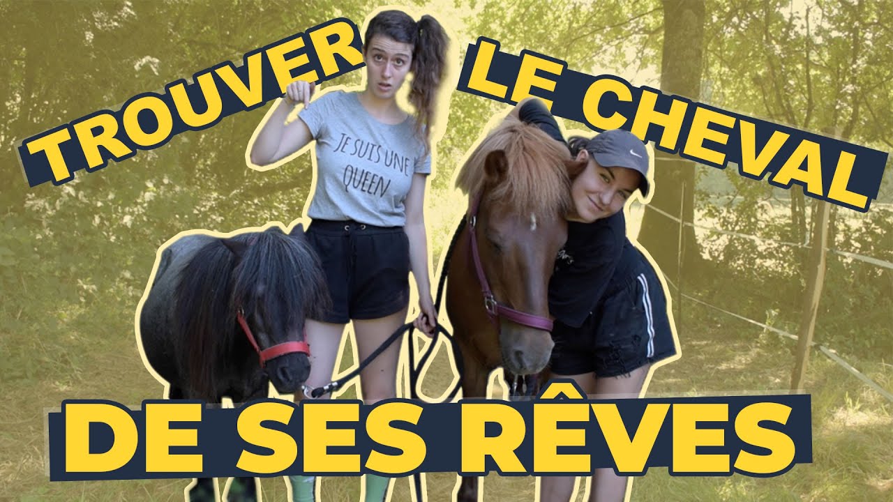 TROUVER LE CHEVAL DE SES RÊVES