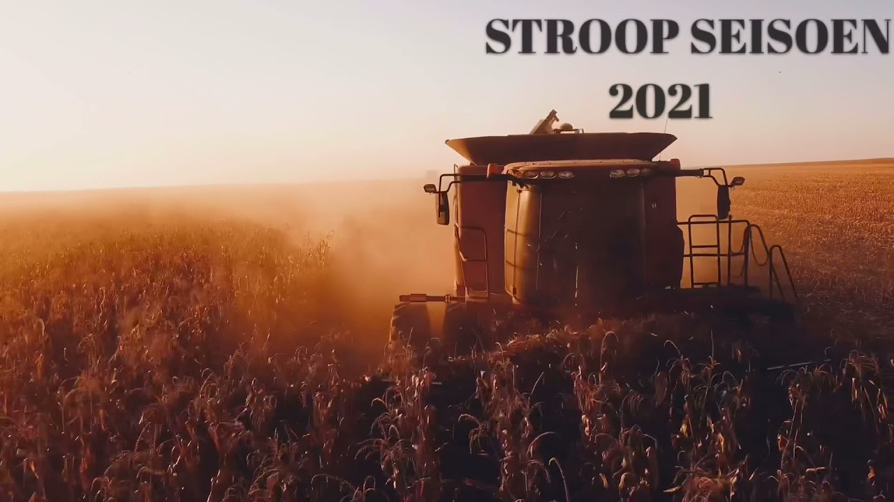 SKS BOERDERY STROOP SEISOEN🌽