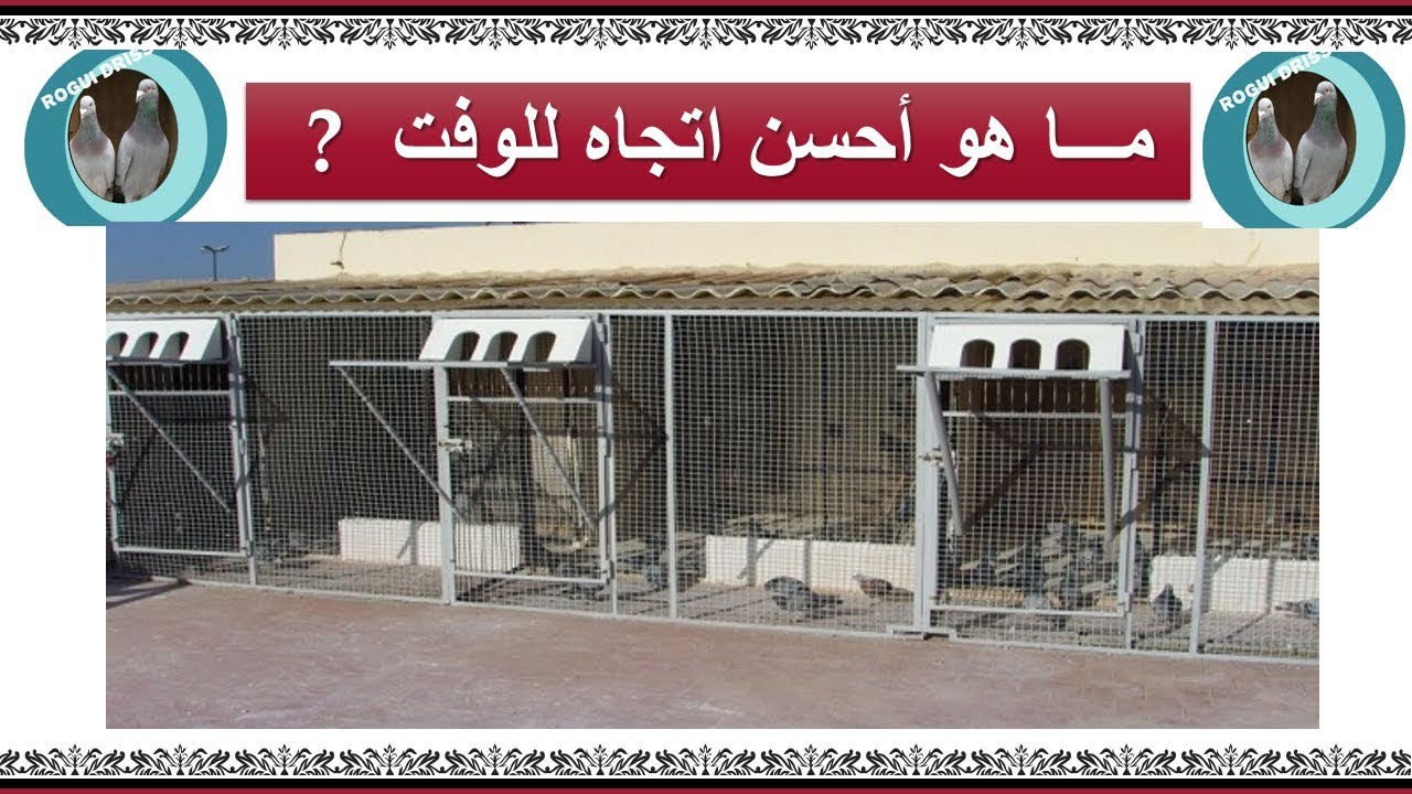 الأتجاه الصحيح للوفت