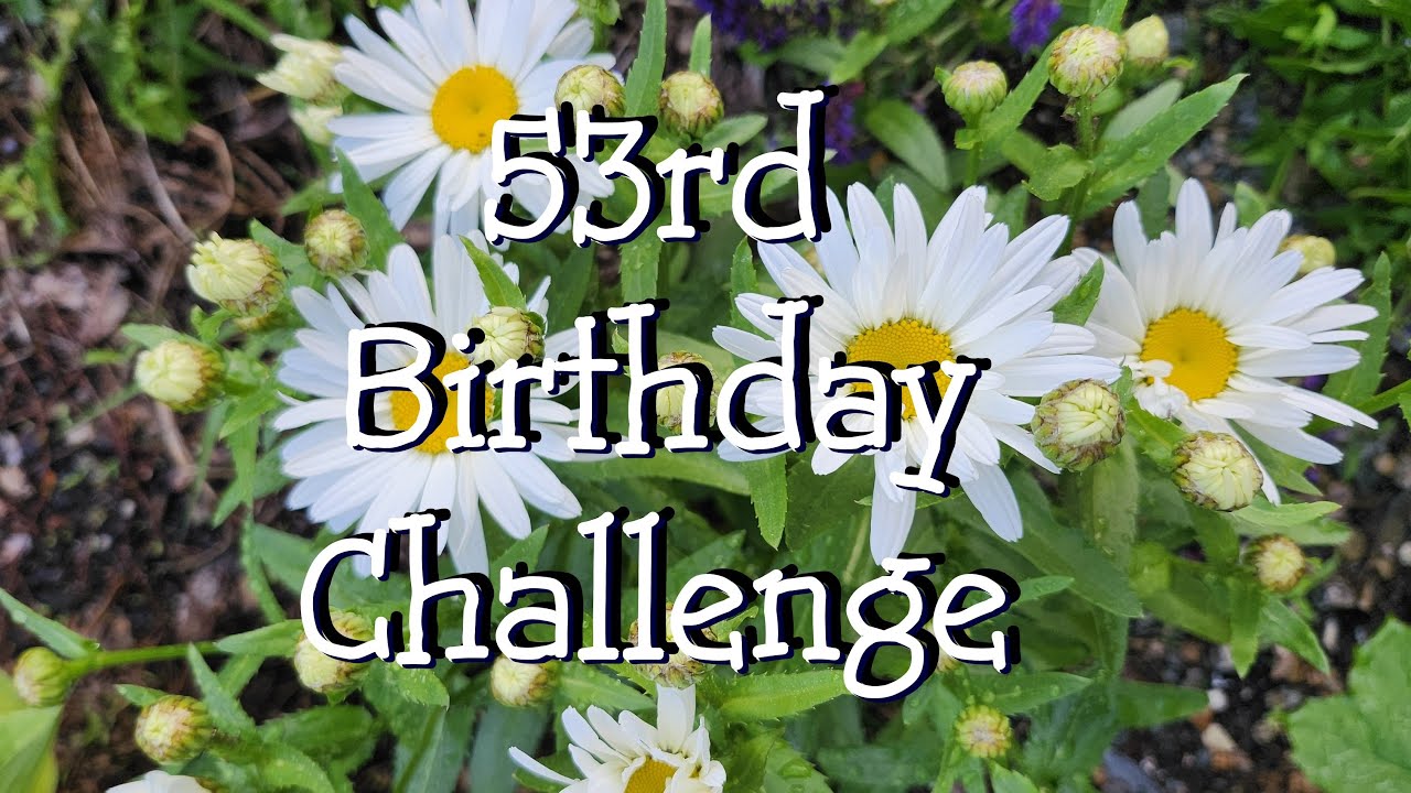 Запись № 29 в рамках Birthday Challenge и #joinmetojournal