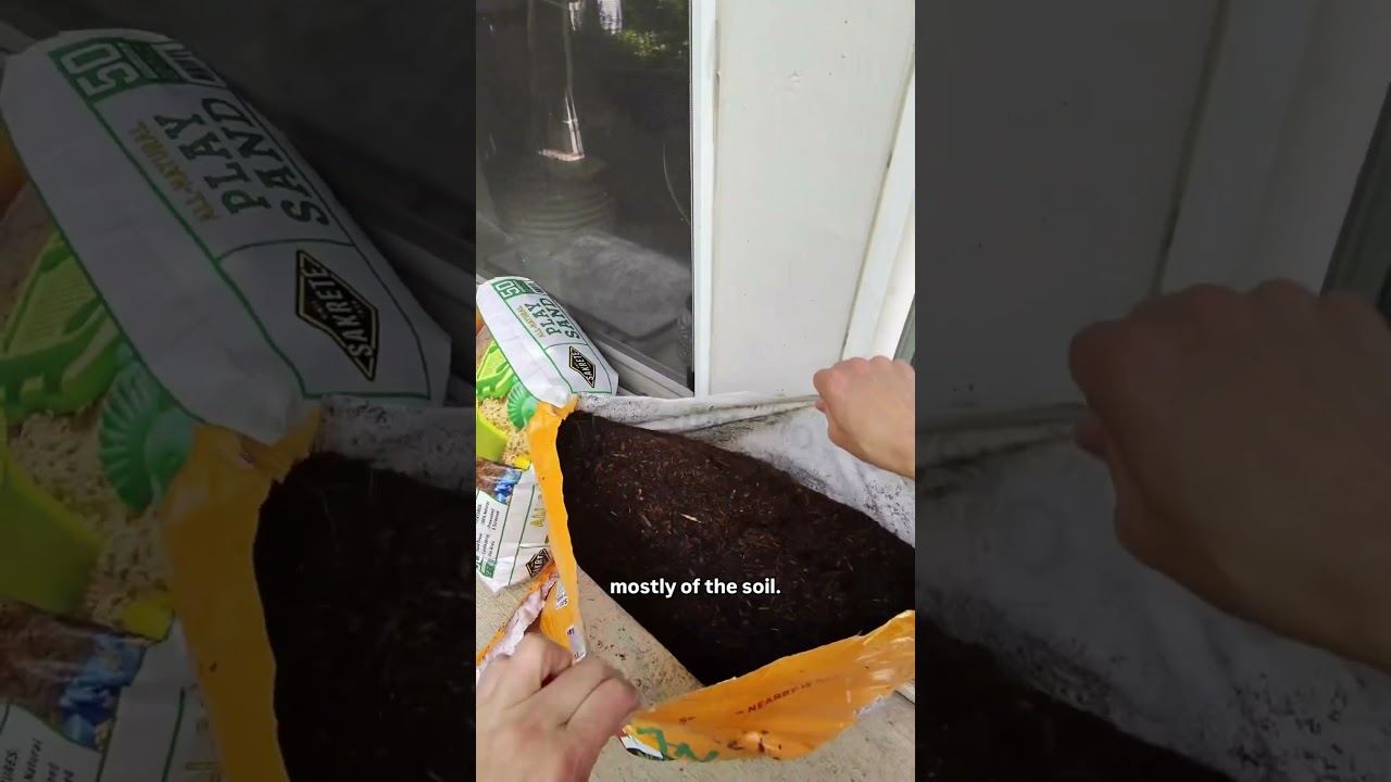 Egg laying box for #beardeddragon #reptile