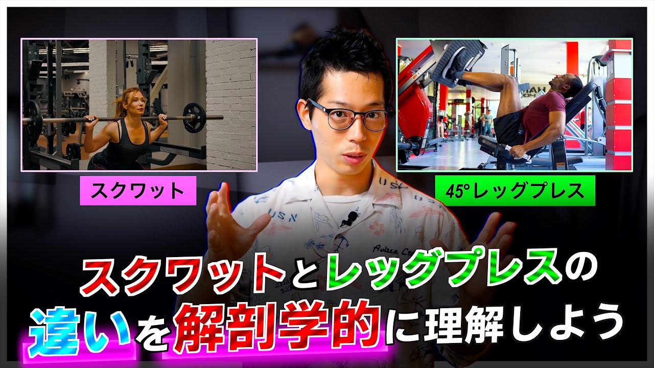 【筋トレ】スクワットとレッグプレスの違いを解剖学的視点を交えて。