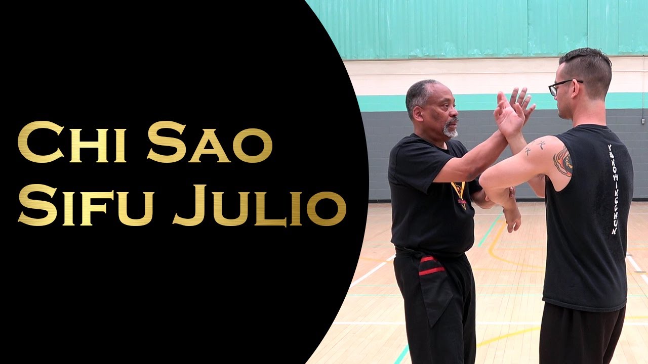 Chi Sao Discussion with Sifu Julio 2019 Spring Workshop