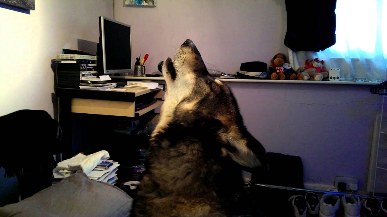 Kharec mystical kai - Utonagan Howl
