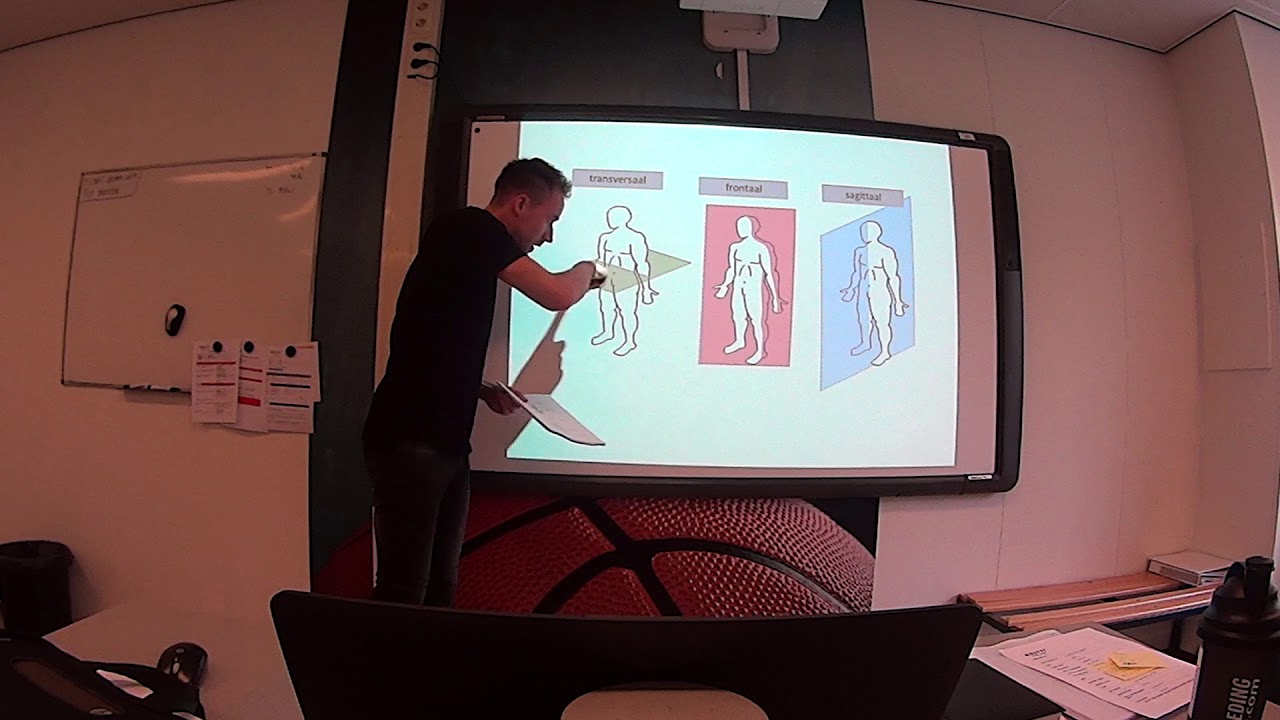 Anatomie Q8 les 1 plaatsbepaling en vlakken assen