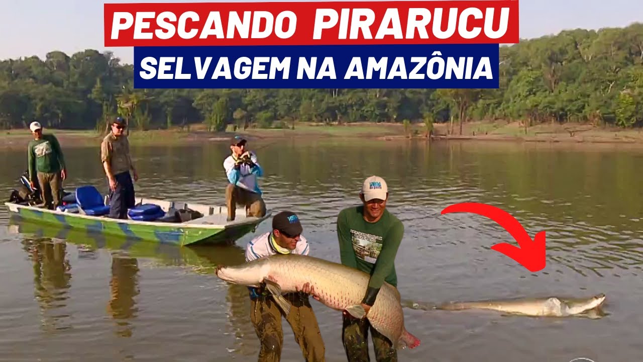 PESCARIA DO GIGANTE PIRARUCU NA AMAZÔNIA