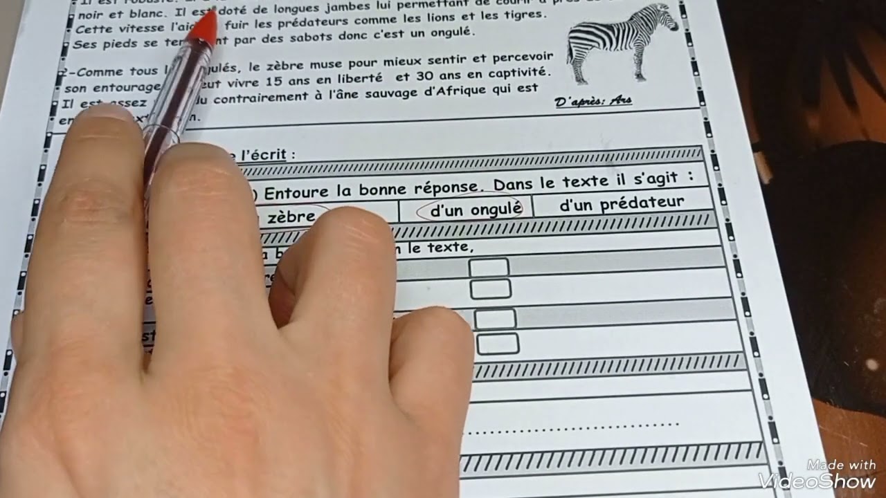 évaluation des acquis le zèbre 5ap