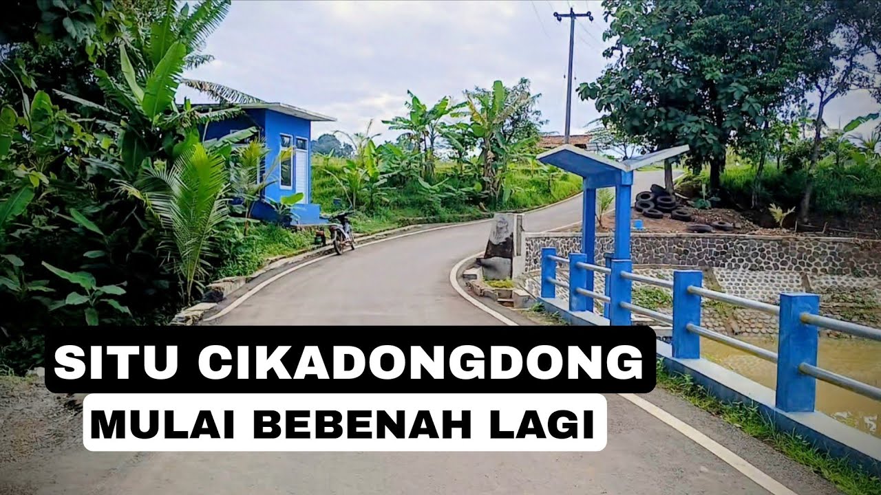  2 BEKO TURUN DI SITU CIKADONGDONG LEMBUR PAKUAN