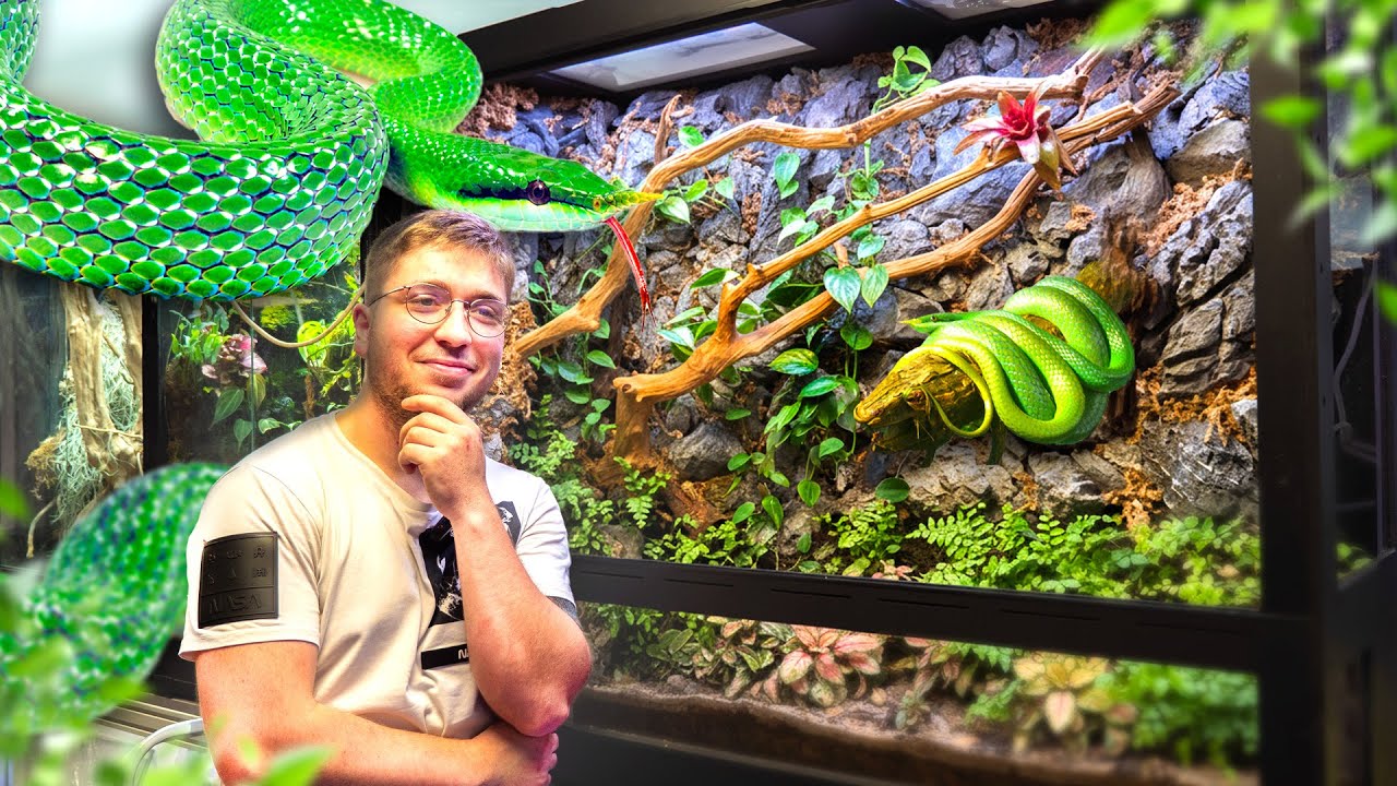 Terrarium XXL, on à fait un décor incroyable (serpent, crabe, poisson) (Partie 1)