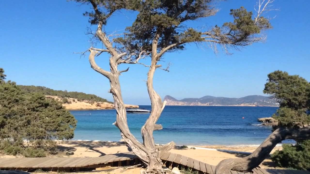 IBIZA BARCOS LUJO ALQUILER YATES ATZARO VIP - SUNMARINE