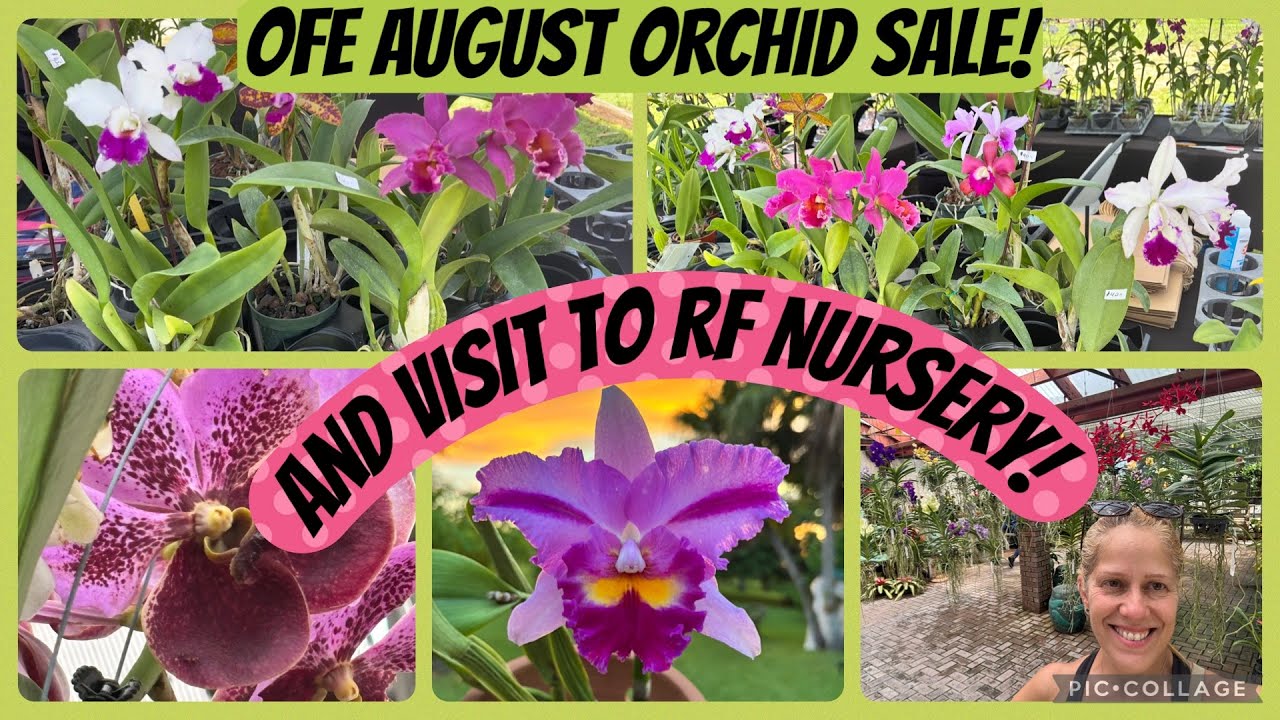 1 awesome orchid fair -PLUS a visit to RF orchids! Detailed tour of gorgeous grounds! 