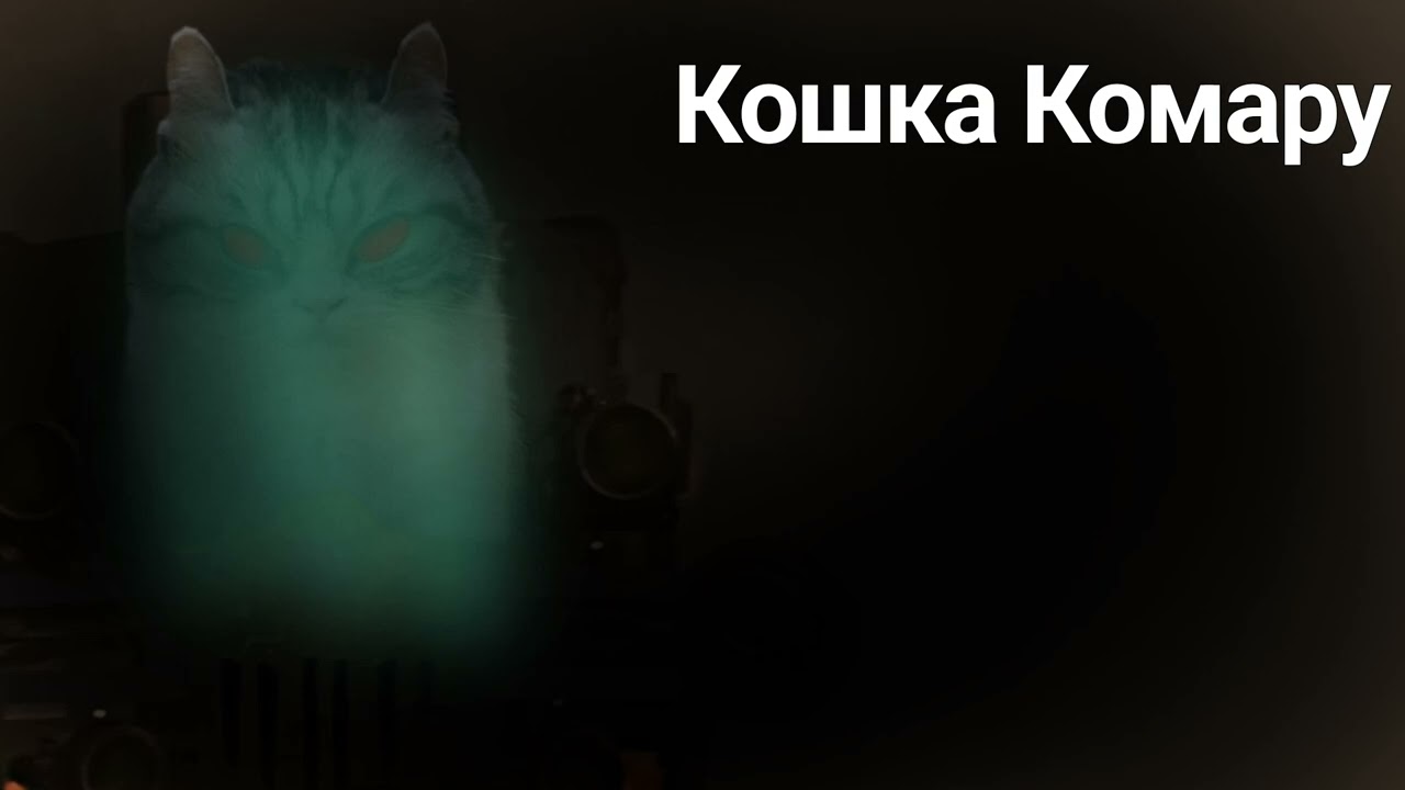 КОШКА КОМАРУ[MGE СТРАШИЛКА]