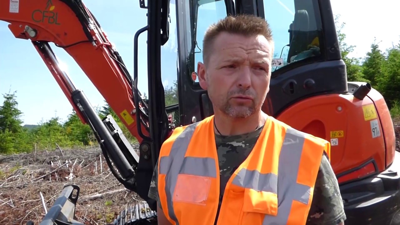 L'écoreboisement, une pratique devenue incontournable