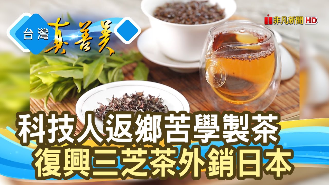 天然野放的“三芝茶”｜三芝茶敘製茶廠-小粟手作｜【台灣真善美】2021.09.12
