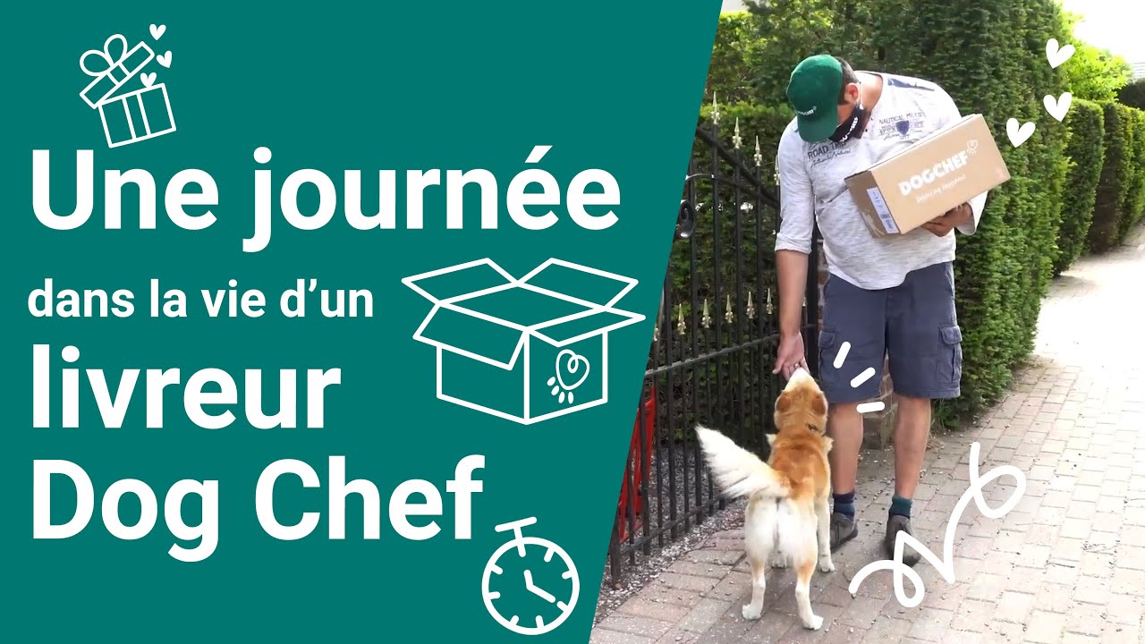 Dog Vlog 2 : Une journée dans la vie d'un livreur Dog Chef !